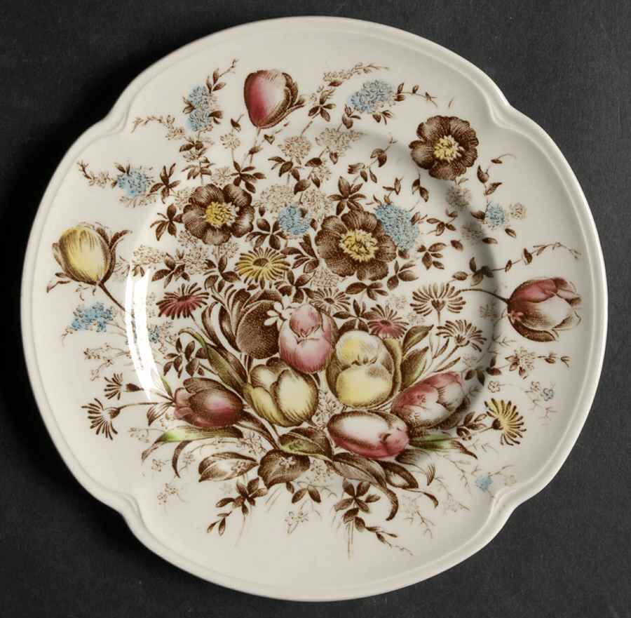 Dover Brown Multicolor Bread & Butter Plate by Johnson Brothers-1