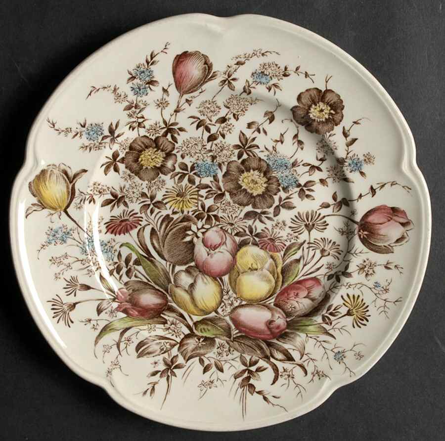 Dover Brown Multicolor Salad Plate by Johnson Brothers-1
