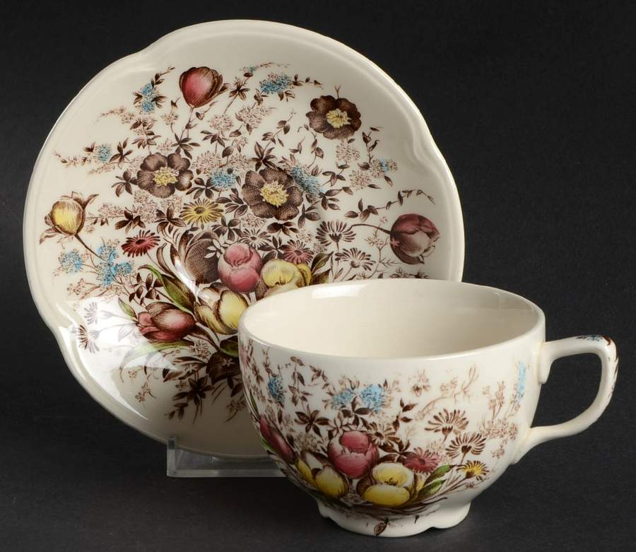 Dover Brown Multicolor Flat Cup & Saucer Set by Johnson Brothers-1