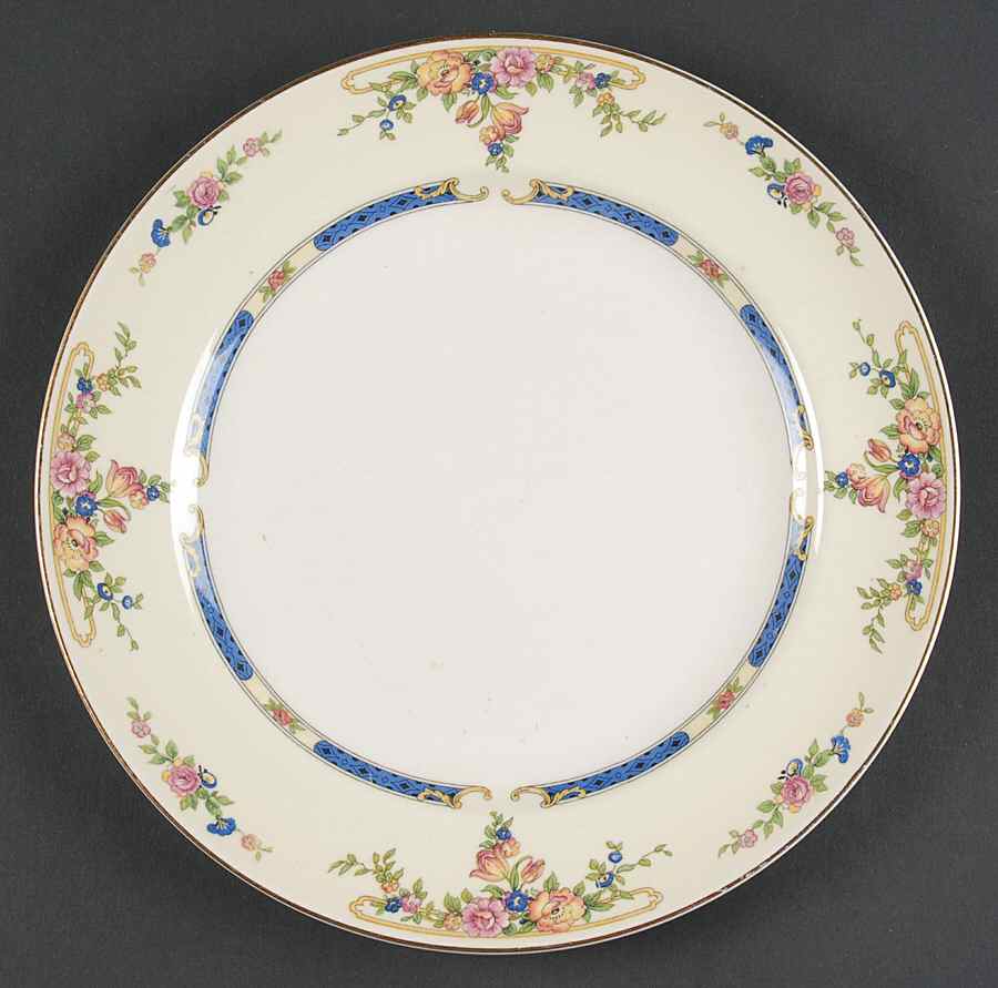 Eastbourne (Pareek) Luncheon Plate by Johnson Brothers-1
