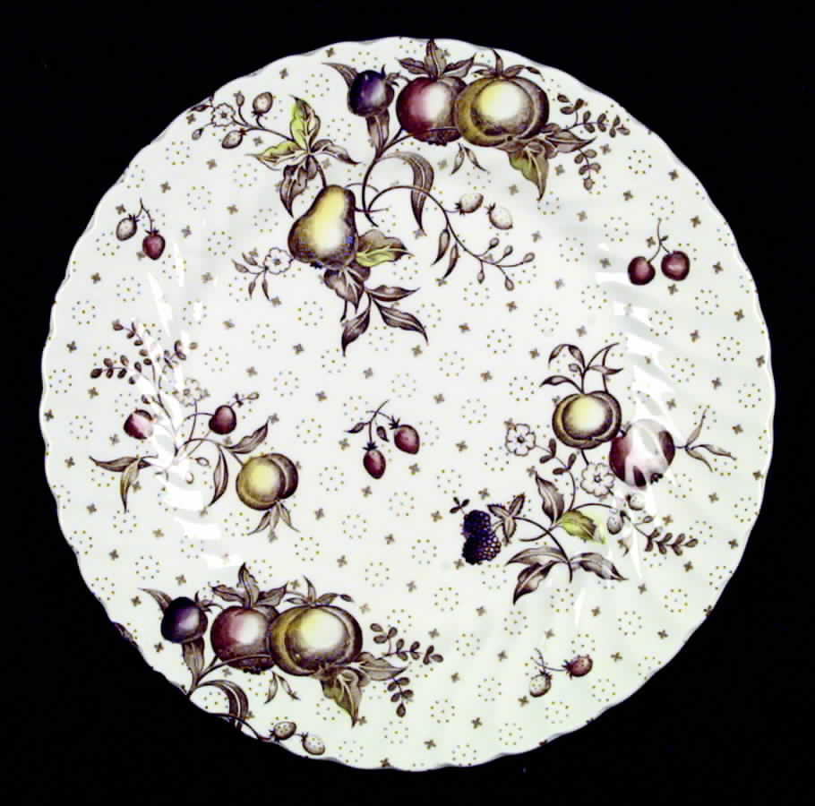 Eddington Dinner Plate by Johnson Brothers-1