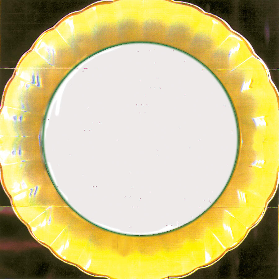 Edinburgh Salad Plate by Johnson Brothers-1