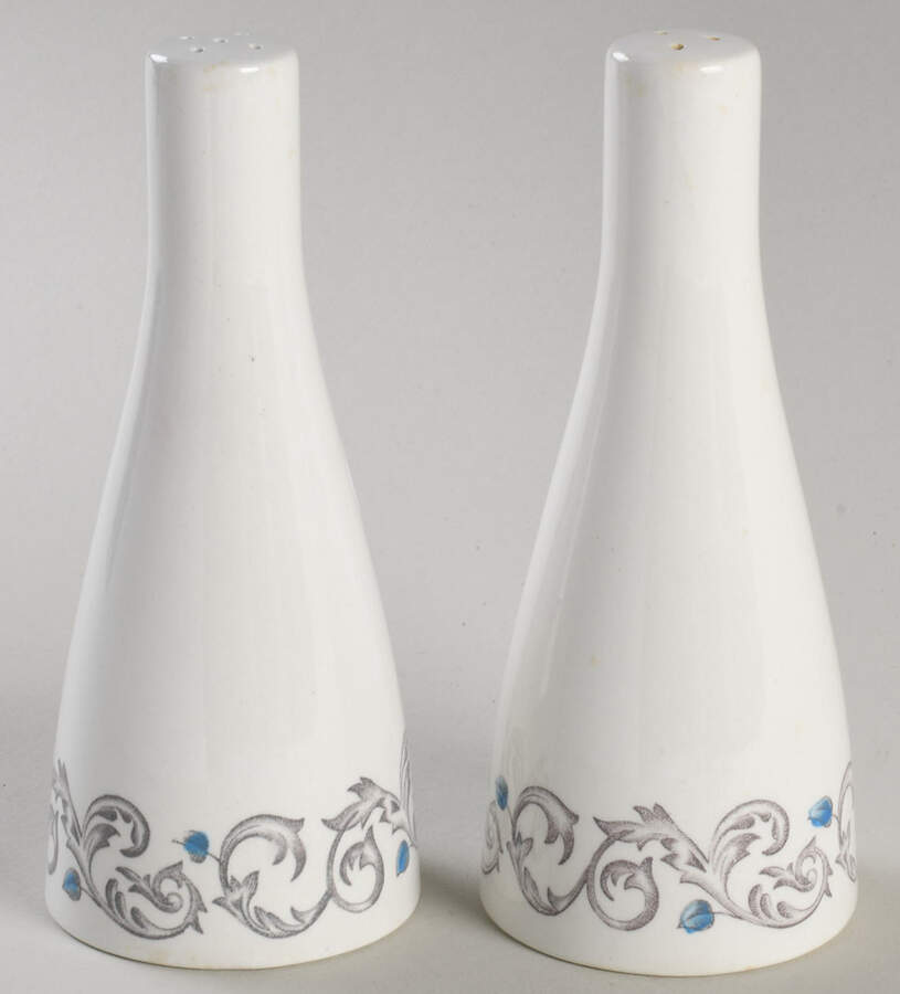 Encore Salt & Pepper Set by Johnson Brothers-1