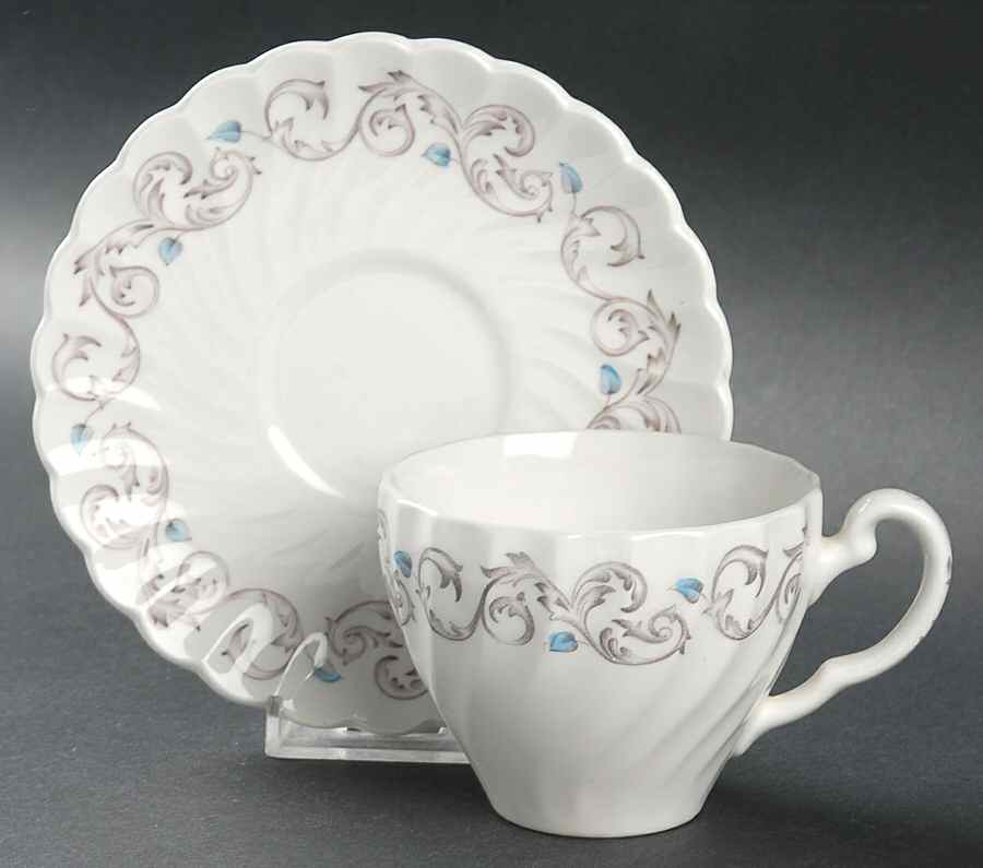 Encore Flat Cup & Saucer Set by Johnson Brothers-1