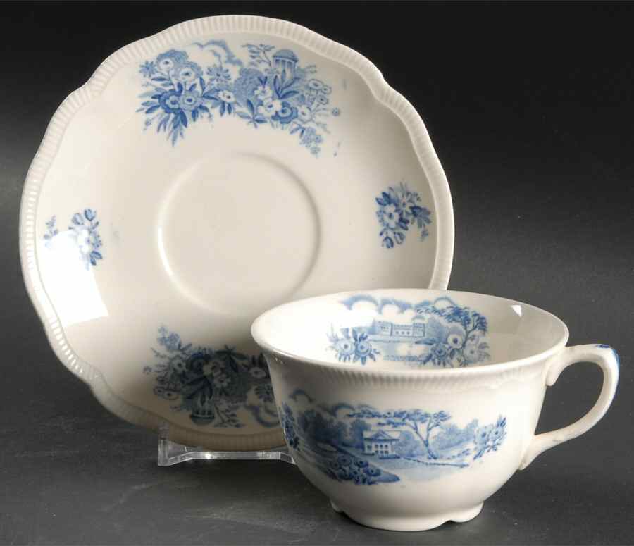 English Gardens Blue (No Blue Band) Flat Cup & Saucer Set by Johnson Brothers-1