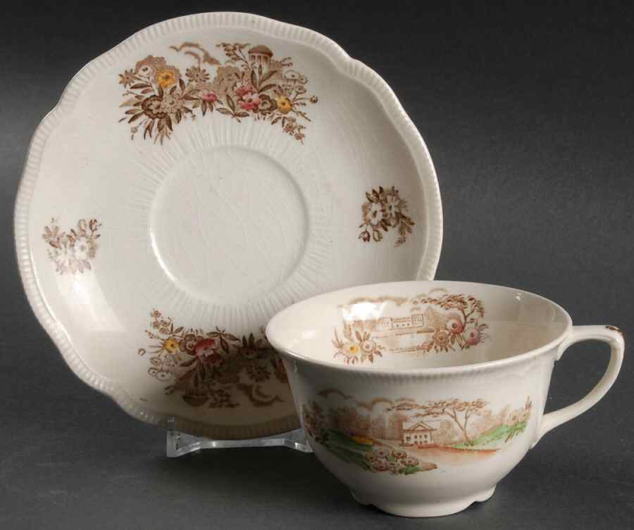 English Gardens Brown Multicolor Flat Cup & Saucer Set by Johnson Brothers-1