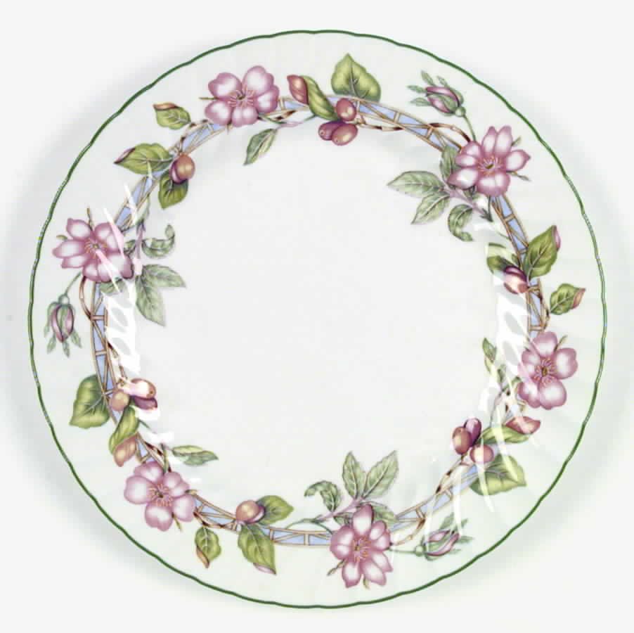 English Rose (Regency, Floral Vine) Dinner Plate by Johnson Brothers-1