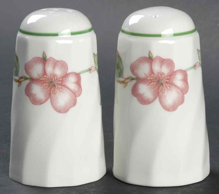 English Rose (Regency, Floral Vine) Salt & Pepper Set by Johnson Brothers-1