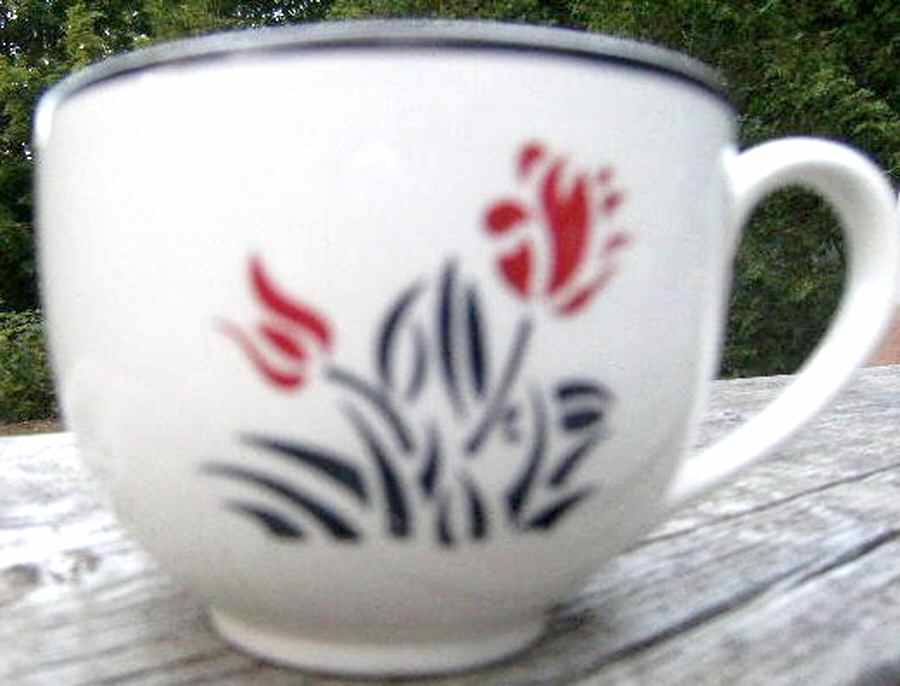 Eton Flat Cup by Johnson Brothers-1