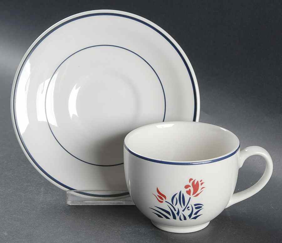 Eton Flat Cup & Saucer Set by Johnson Brothers-1