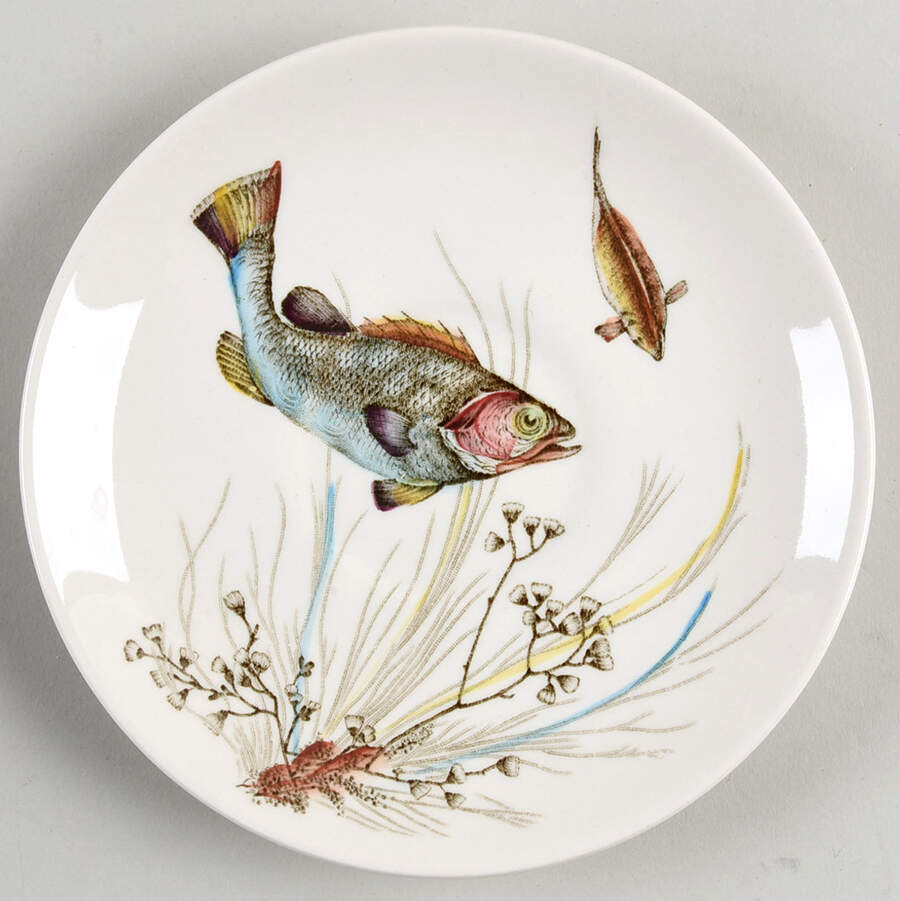 FISH (CREAM) Saucer for Flat Cup by Johnson Brothers-1