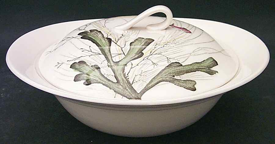 FISH (CREAM) Round Covered Vegetable by Johnson Brothers-1