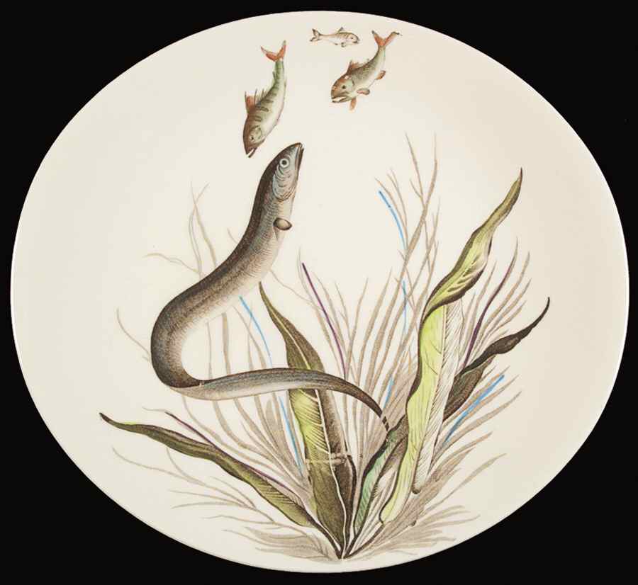 FISH (CREAM) Dinner Plate by Johnson Brothers-1