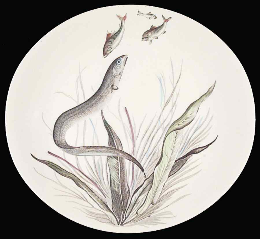 FISH (CREAM) Salad Plate by Johnson Brothers-1