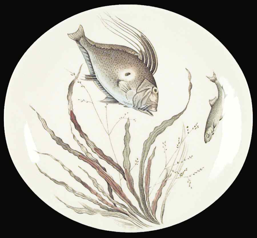FISH (CREAM) Dinner Plate by Johnson Brothers-1