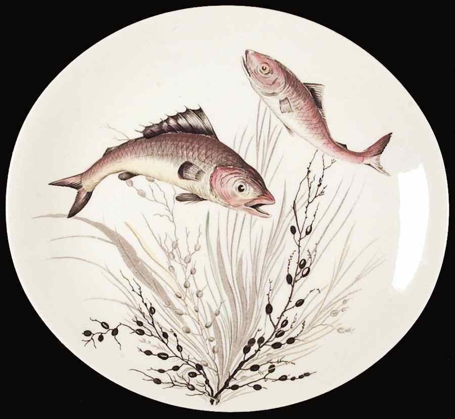 FISH (CREAM) Dinner Plate by Johnson Brothers-1