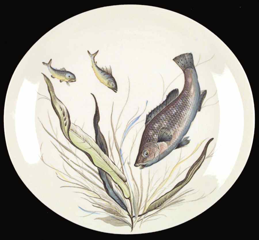 FISH (CREAM) Dinner Plate by Johnson Brothers-1