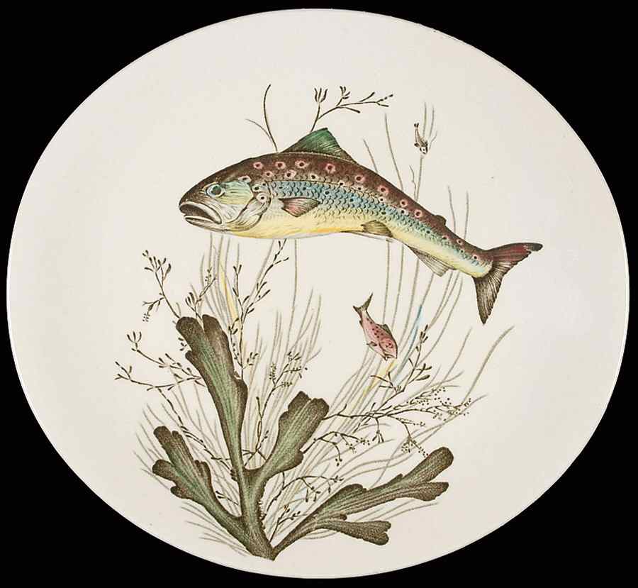 FISH (CREAM) Salad Plate by Johnson Brothers-1