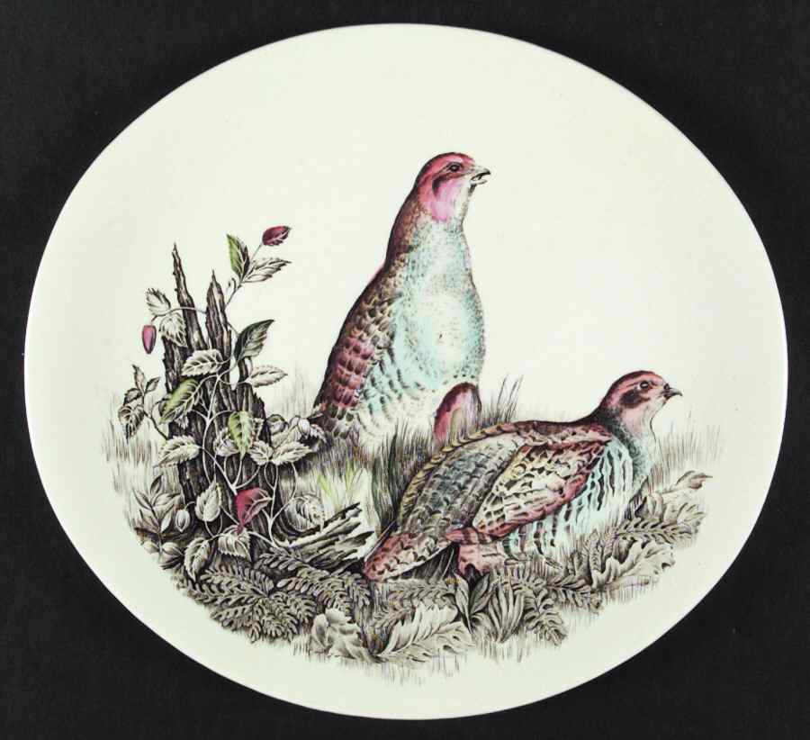 Game Birds Cream Luncheon Plate by Johnson Brothers-1