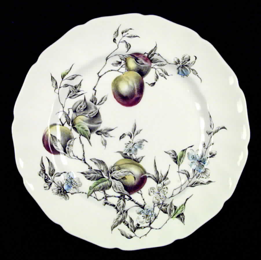 Georgia Multicolor Dinner Plate by Johnson Brothers-1