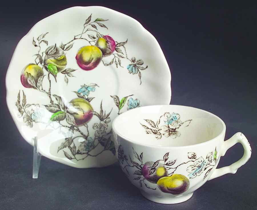 Georgia Multicolor Flat Cup & Saucer Set by Johnson Brothers-1