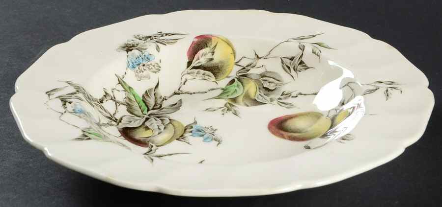 Georgia Multicolor Rim Soup Bowl by Johnson Brothers-1