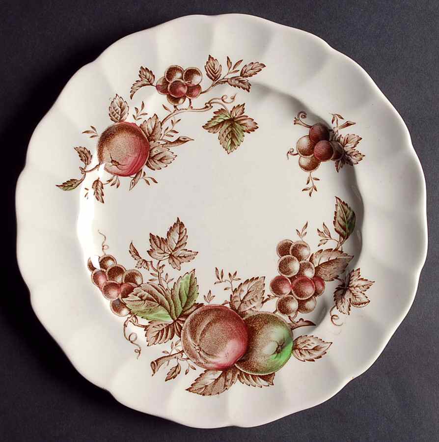 Harvest Time Brown Multicolor Luncheon Plate by Johnson Brothers-1