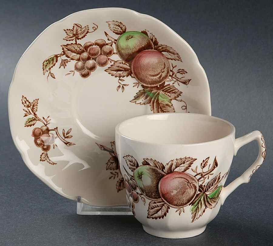 Harvest Time Brown Multicolor Flat Cup & Saucer Set by Johnson Brothers-1