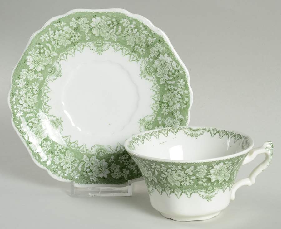 Havana Flat Cup & Saucer Set by Johnson Brothers-1