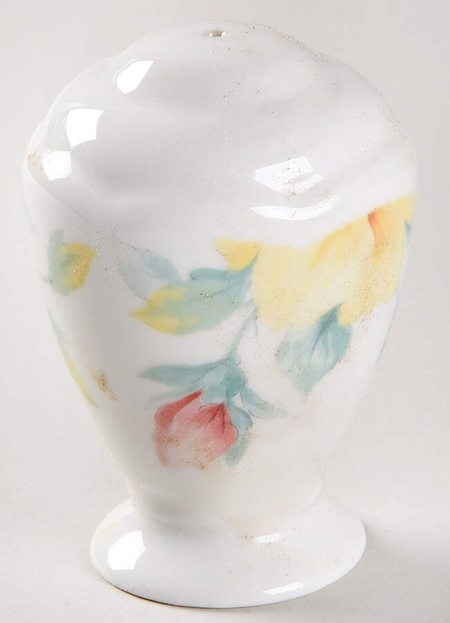 Hyde Park (Scalloped) Salt Shaker by Johnson Brothers-1