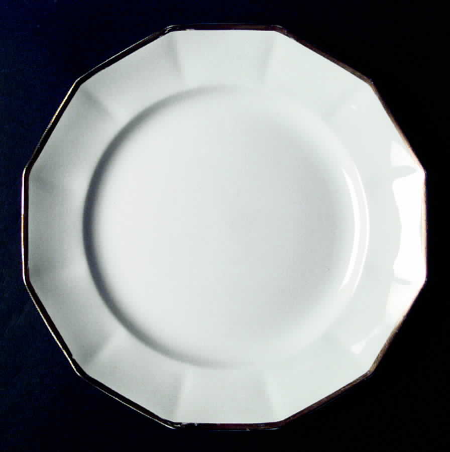 JB103 Dinner Plate by Johnson Brothers-1