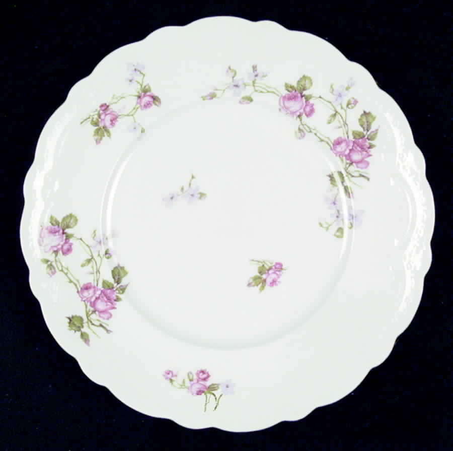 JB124 Dinner Plate by Johnson Brothers-1