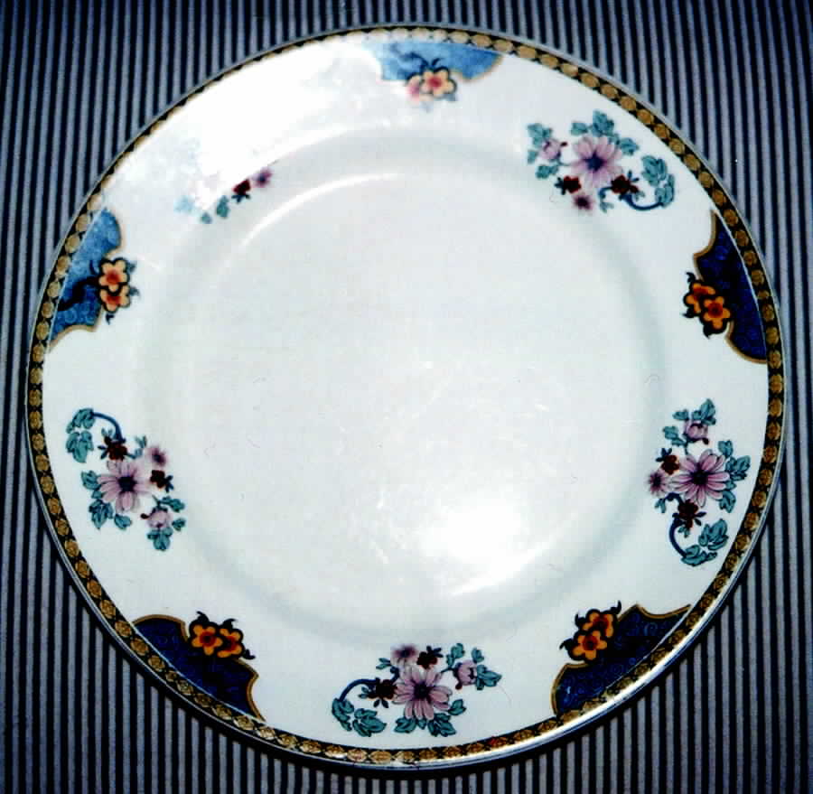 JB125 Dinner Plate by Johnson Brothers-1