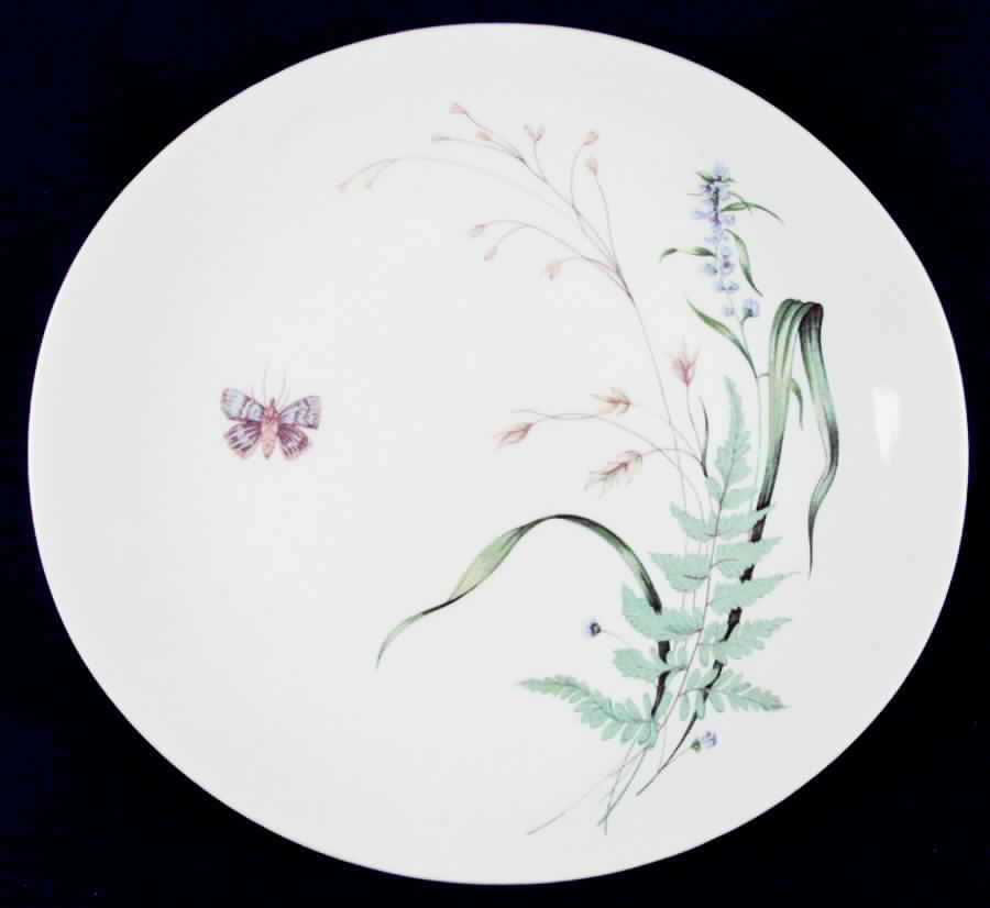 JB143 Dinner Plate by Johnson Brothers-1