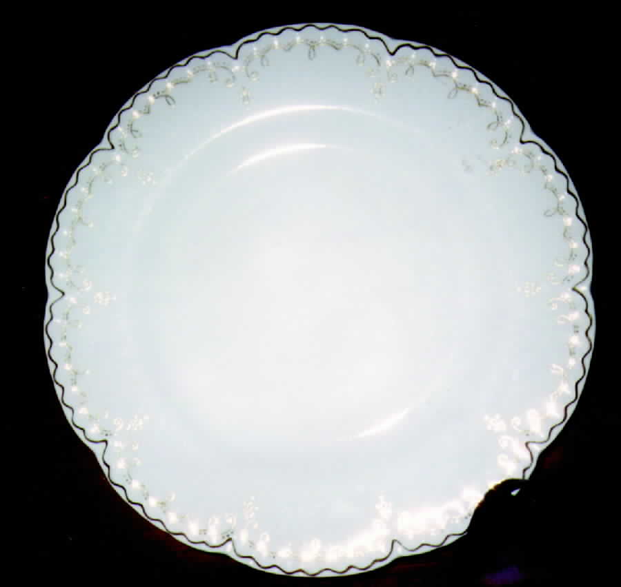 JB159 Dinner Plate by Johnson Brothers-1
