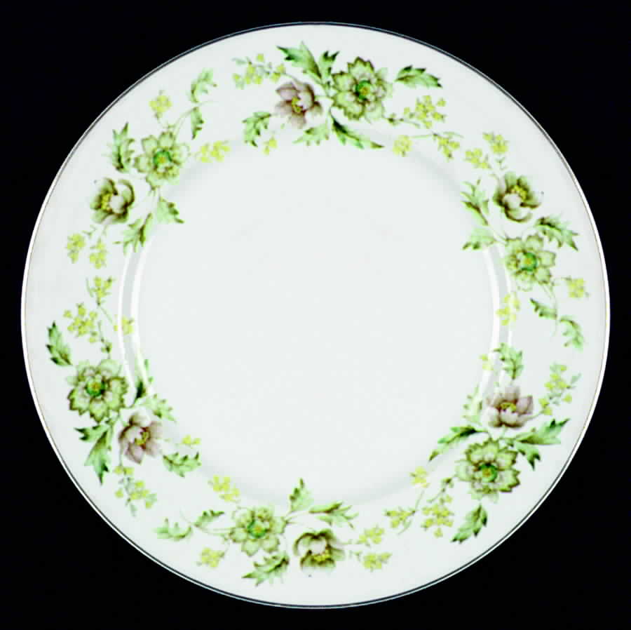 JB164 Dinner Plate by Johnson Brothers-1