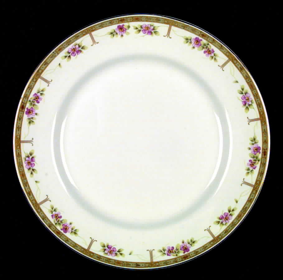 JB167 Dinner Plate by Johnson Brothers-1