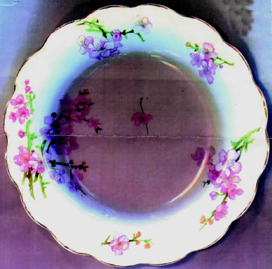 JB179 Bread & Butter Plate by Johnson Brothers-1