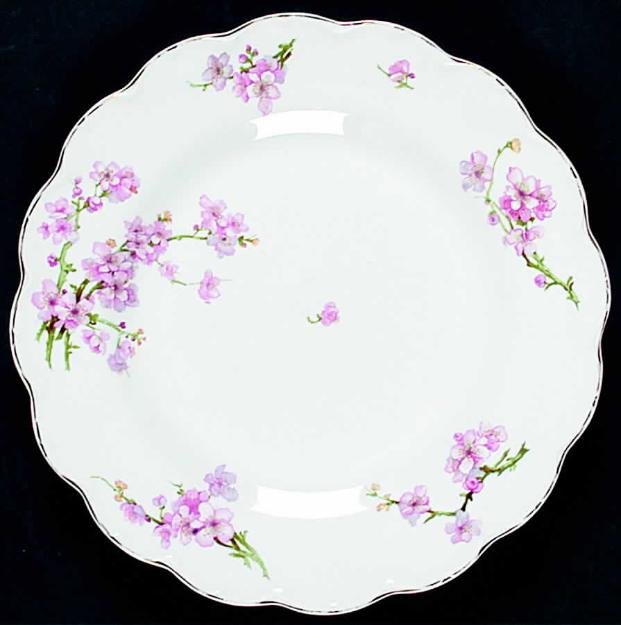 JB179 Luncheon Plate by Johnson Brothers-1