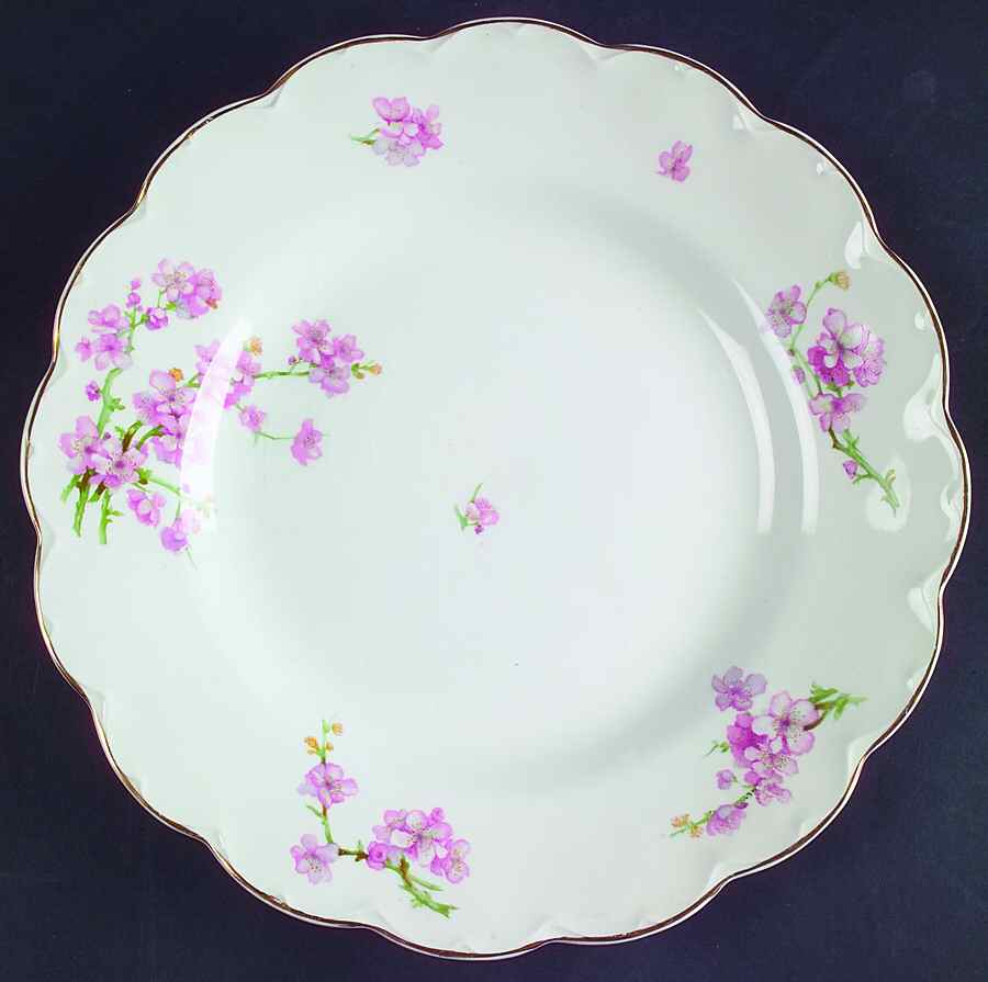 JB179 Dinner Plate by Johnson Brothers-1