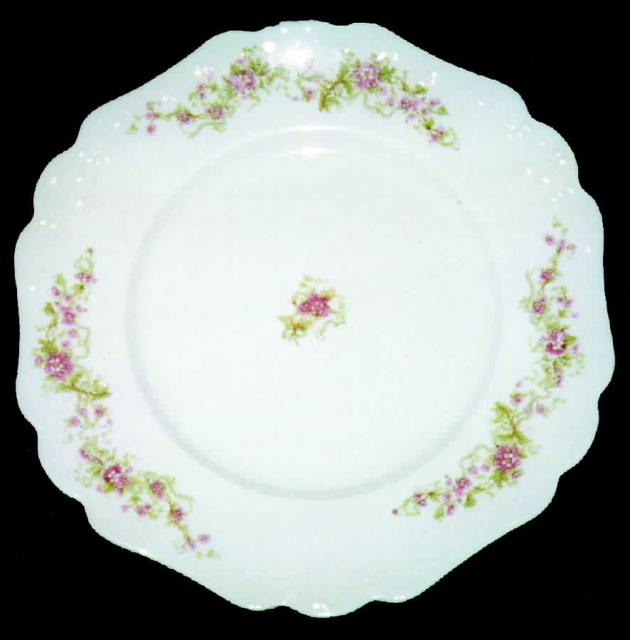 JB187 Dinner Plate by Johnson Brothers-1