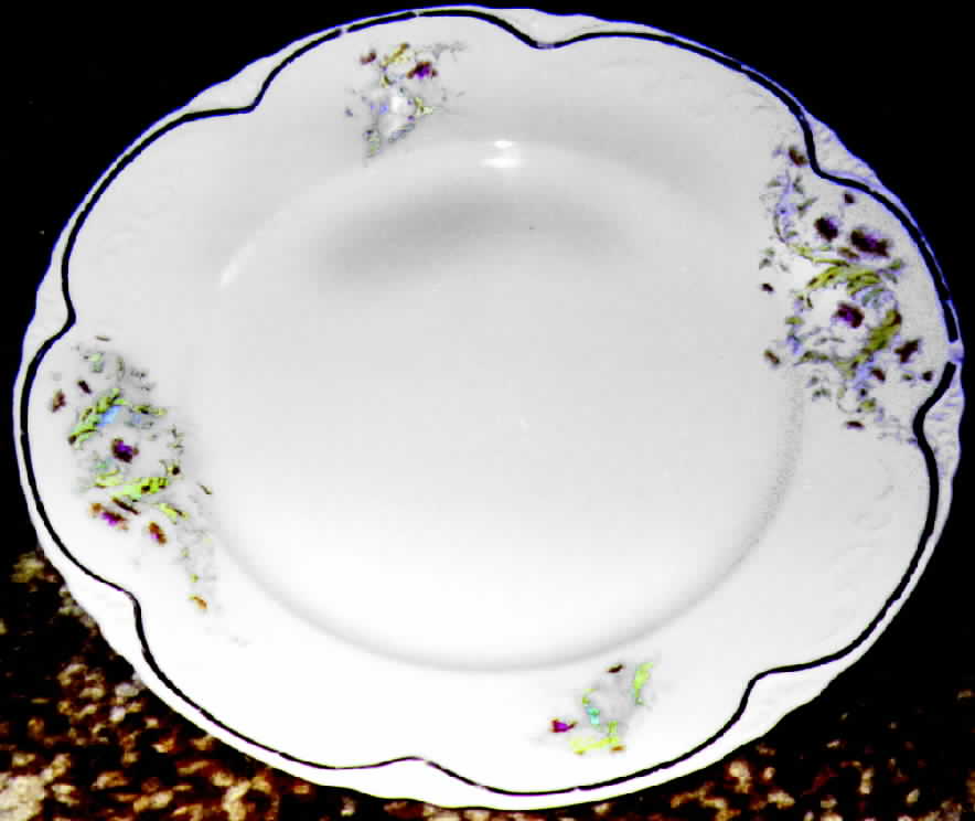 JB224 Dinner Plate by Johnson Brothers-1