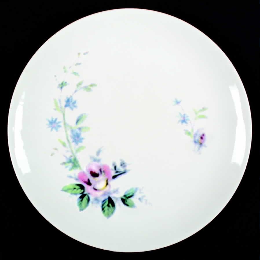 JB226 Dinner Plate by Johnson Brothers-1