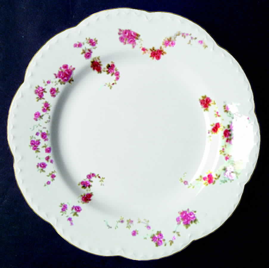 JB229 Dinner Plate by Johnson Brothers-1