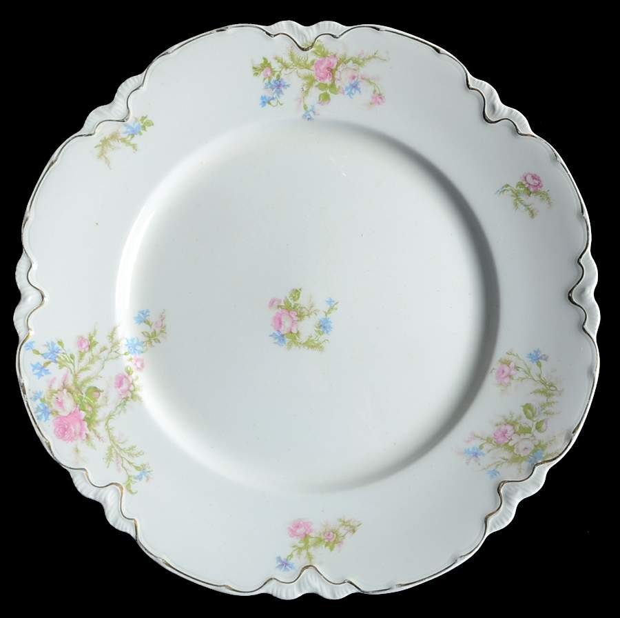 JB231 Dinner Plate by Johnson Brothers-1