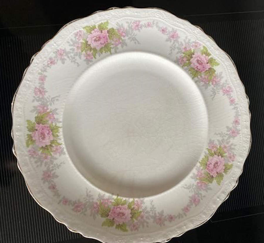 JB232 Dinner Plate by Johnson Brothers-1