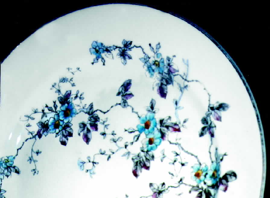JB237 Dinner Plate by Johnson Brothers-1