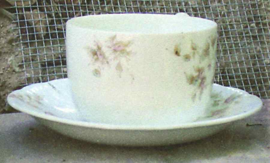 JB246 Flat Cup & Saucer Set by Johnson Brothers-1