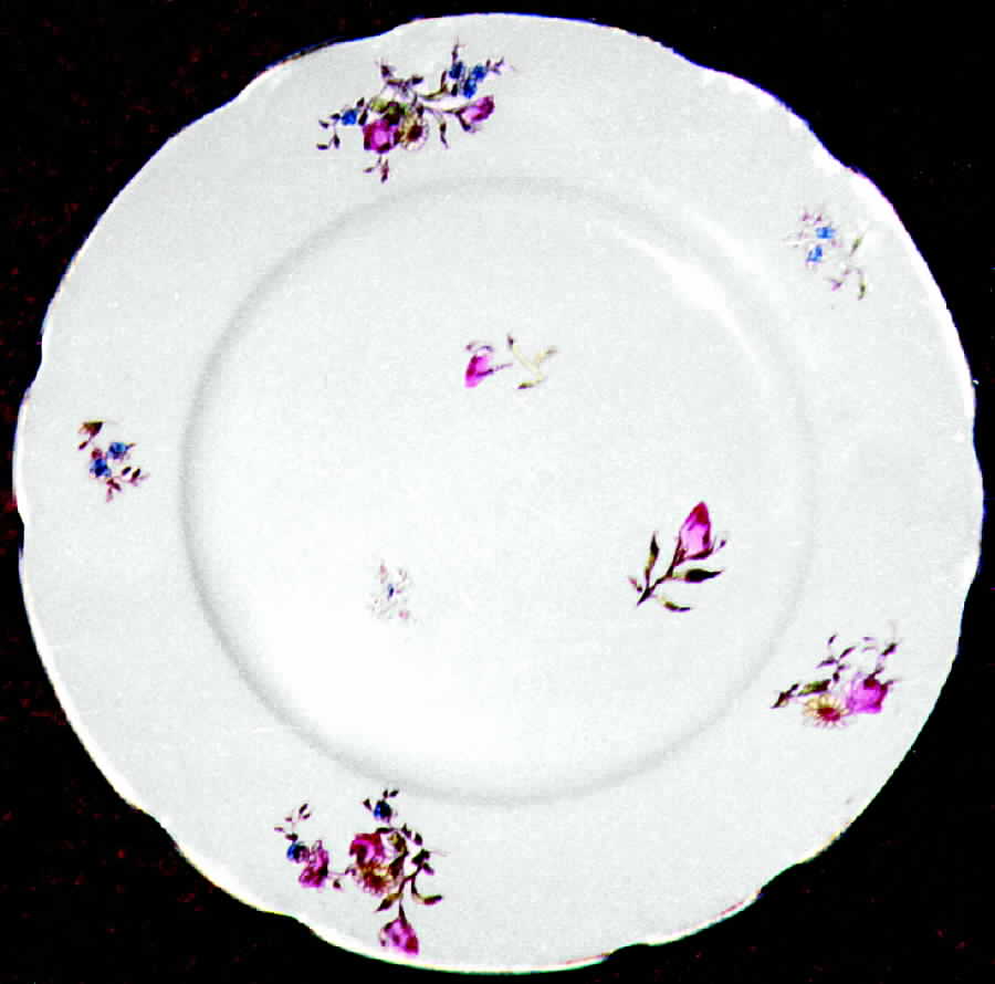 JB247 Dinner Plate by Johnson Brothers-1