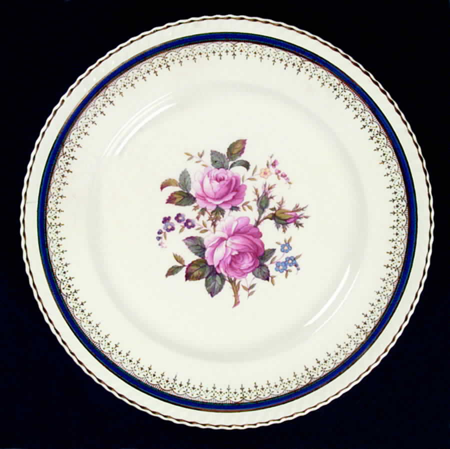 JB249 Dinner Plate by Johnson Brothers-1